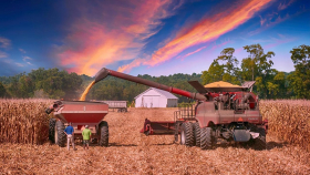 «СовЭкон» оценил урожай зерновых на Украине в 2023-24 сельхозгоду